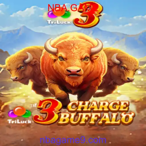 3ChargeBuffalo
